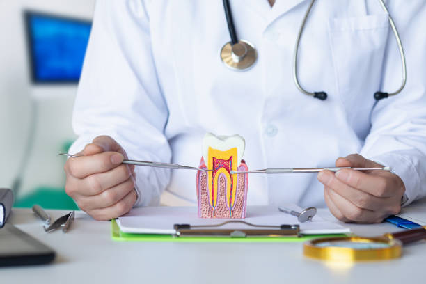 Best Chipped Tooth Repair Near Me  in Rockford, MI
